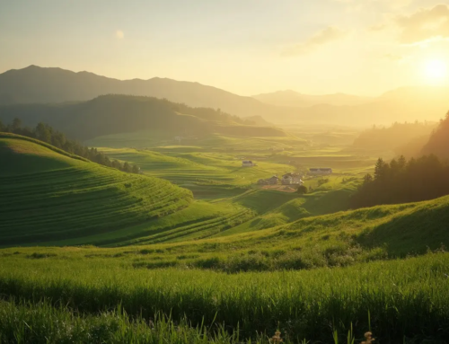 畑 税金 いくらかかる？固定資産税から相続税まで完全ガイド