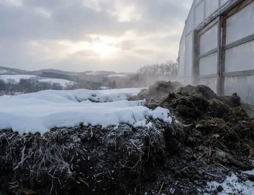 菌ちゃん農法 北海道で始める持続型土づくり 雪国でも成功する微生物循環の秘密